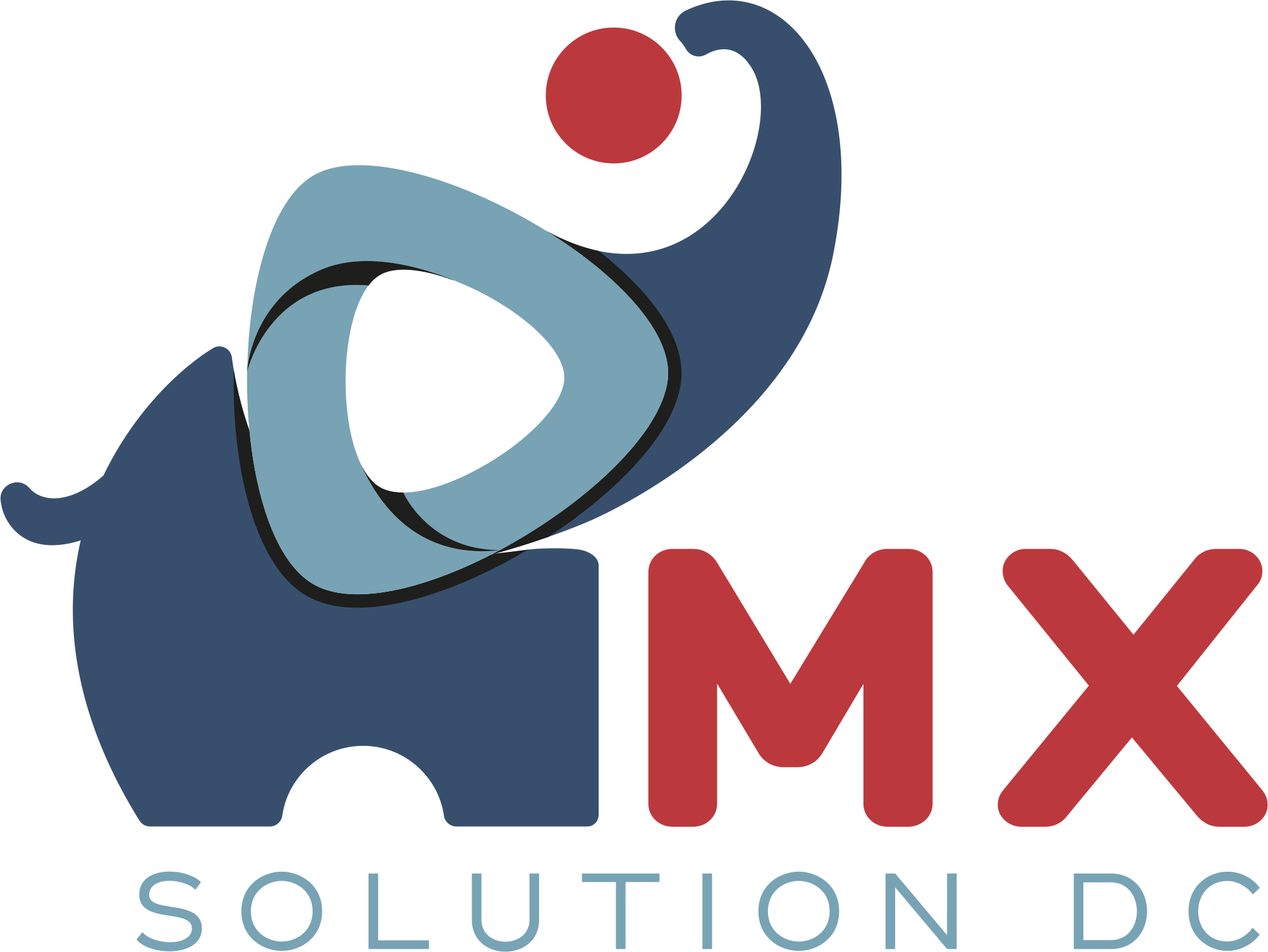 MX Data Solution